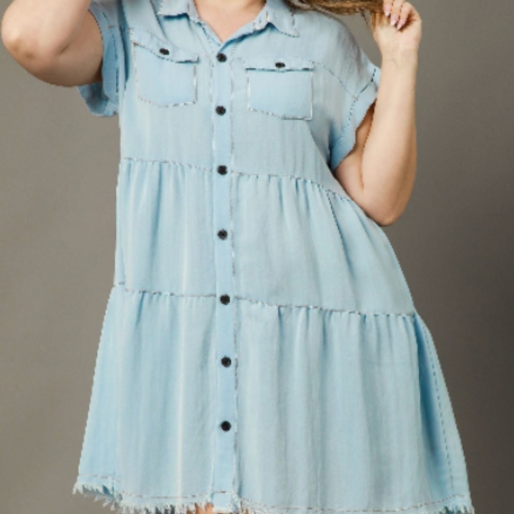 Snow Denim Button Up Dress